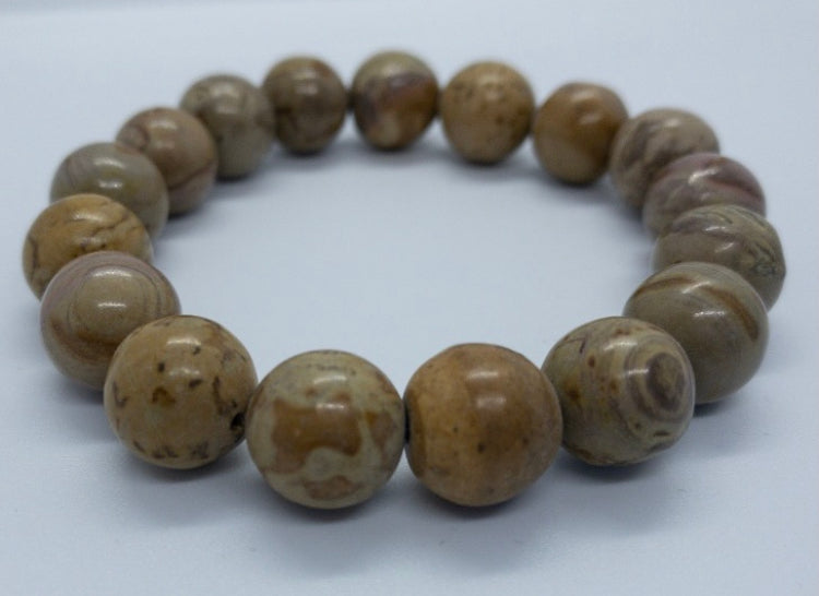 Wood Jasper Bracelet